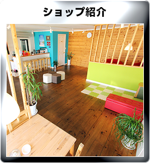 ドレスアップカー買取フレックスオートショップ紹介